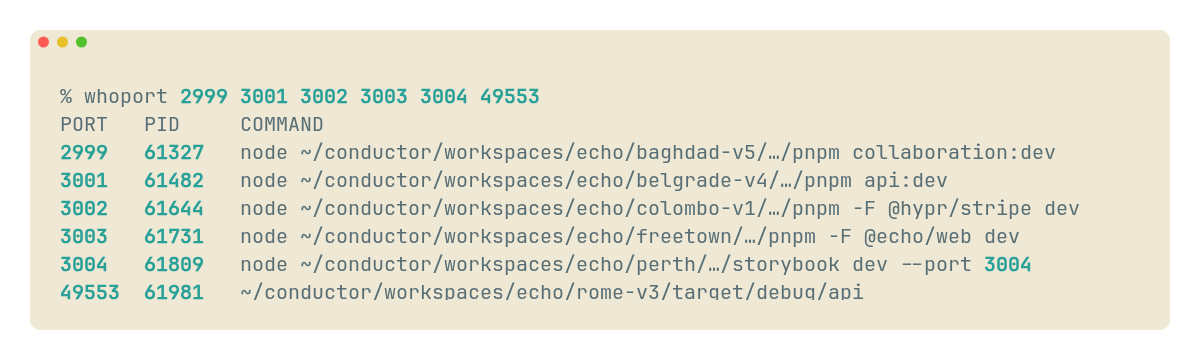 A Solarized Light terminal showing whoport output for six development processes in city-named Conductor worktrees